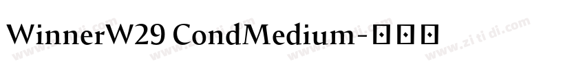WinnerW29 CondMedium字体转换